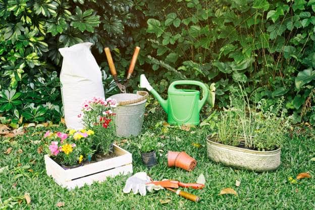Edible Landscaping Designing a Functional and Beautiful Home Garden